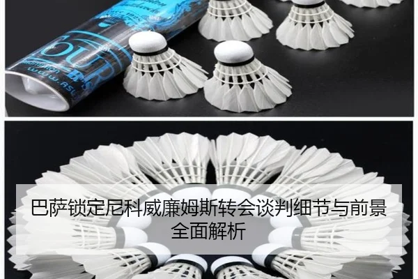 巴萨锁定尼科威廉姆斯转会谈判细节与前景全面解析
